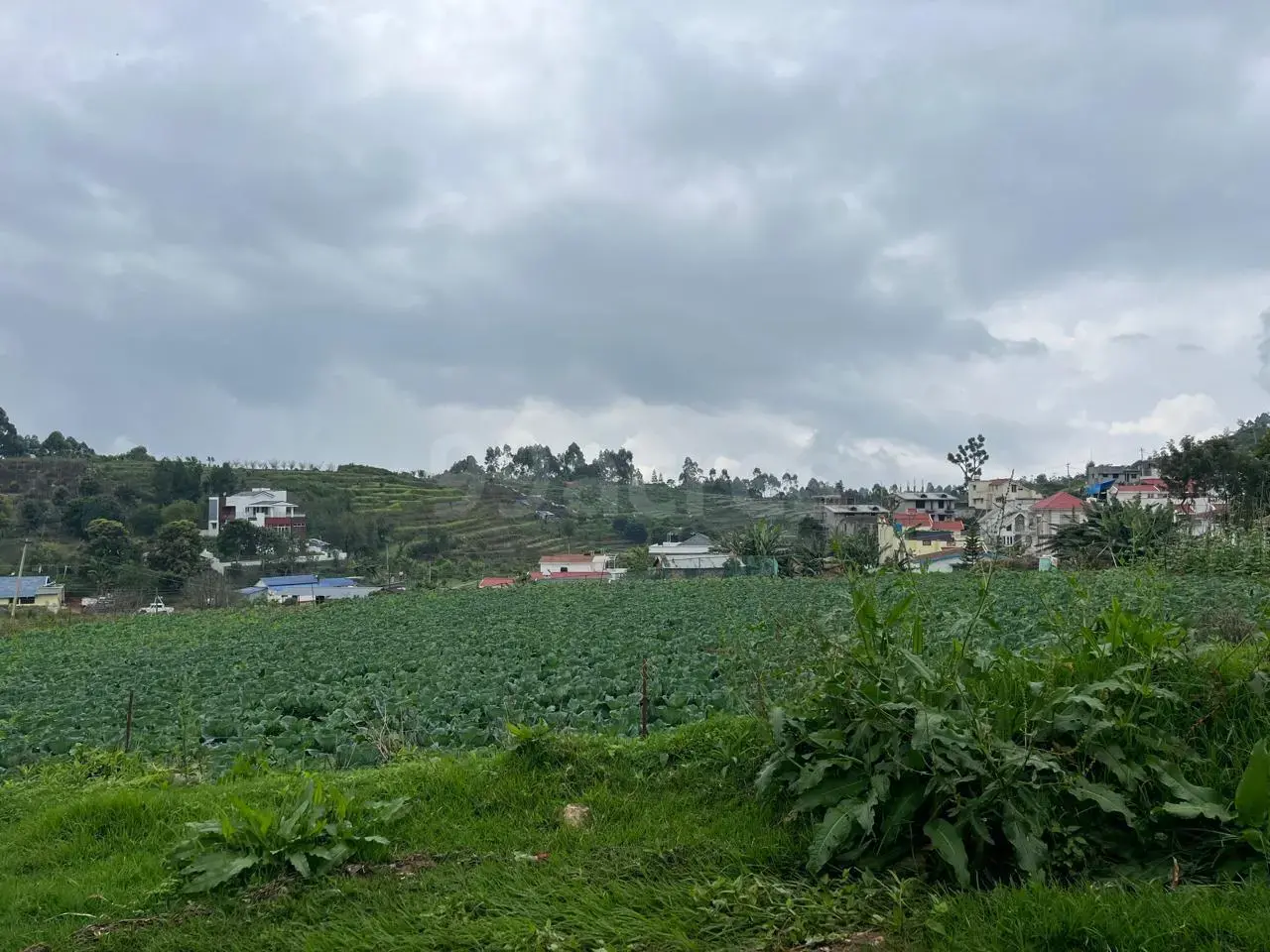 Residential Land/Plot for Sale Vilpatti Kodaikanal