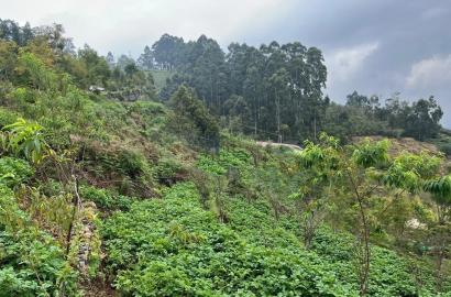 Land for sale near by Kodaikanal Lake