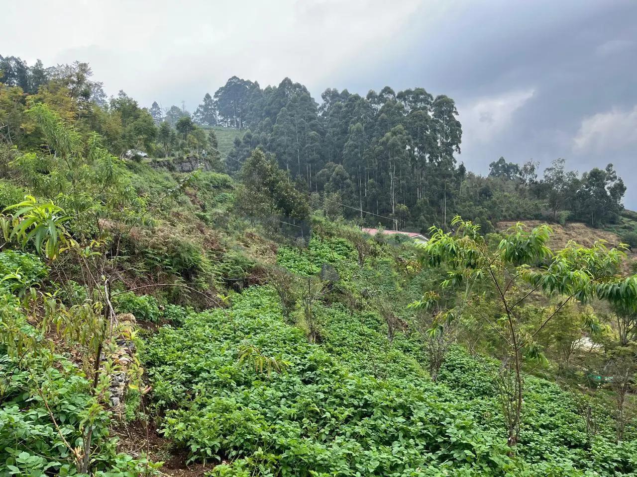 Land for sale near by Kodaikanal Lake