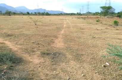 Agriculture Land for Sales in Nilakottai, Tamilnadu