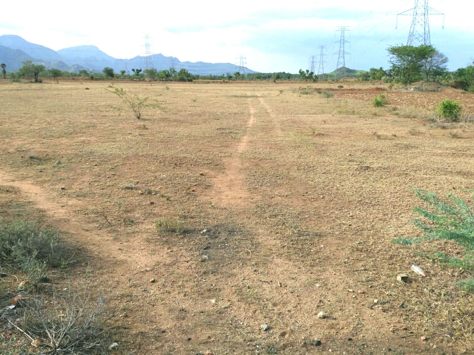 Agriculture Land for Sales in Nilakottai, Tamilnadu